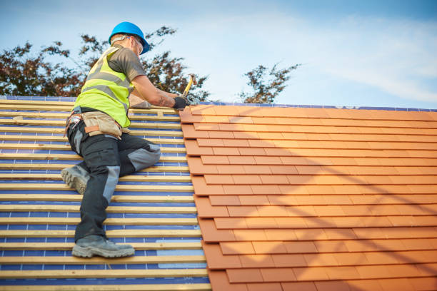 Best Gutter Replacement  in Maumee, OH